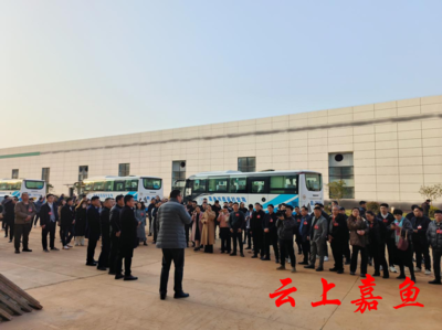 嘉鱼县人民政府门户网站